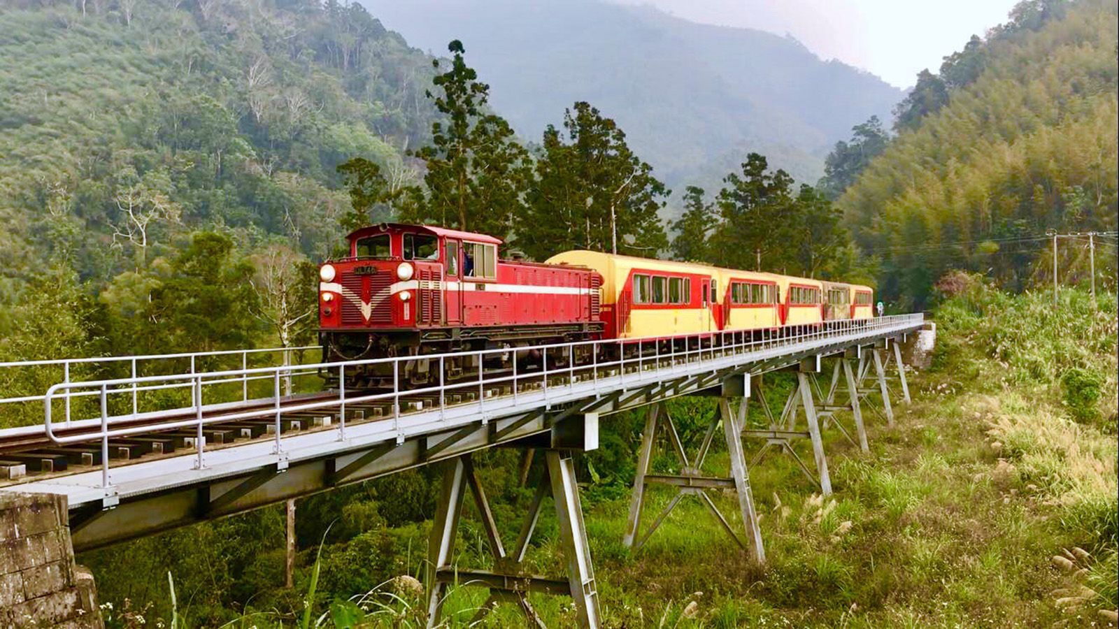 Alishan forest train passing through foggy woods